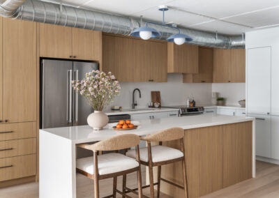 Project Foundry Lofts